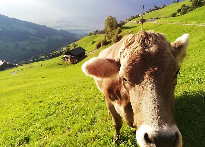 Much's Bergstueberl Wattenberg
