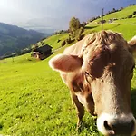 Much's Bergstueberl Wattenberg