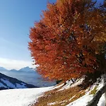 Lägenhet Much's Bergstueberl Wattenberg
