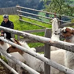 Lägenhet Much's Bergstueberl *