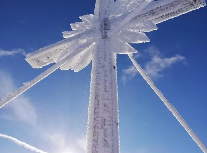 Much's Bergstueberl Appartamento Wattenberg