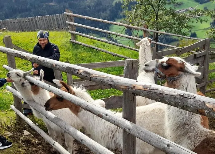 Appartamento Much's Bergstueberl *